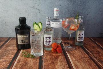 Gin- und Tonicflaschen und Gläsergefüllt mit Gin Tonic garniert mit Erdbeeren und Grurkenscheiben