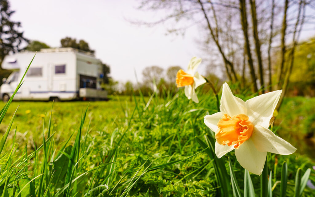 Wohnmobil- und Caravanstellplätze im Golfpark Strelasund