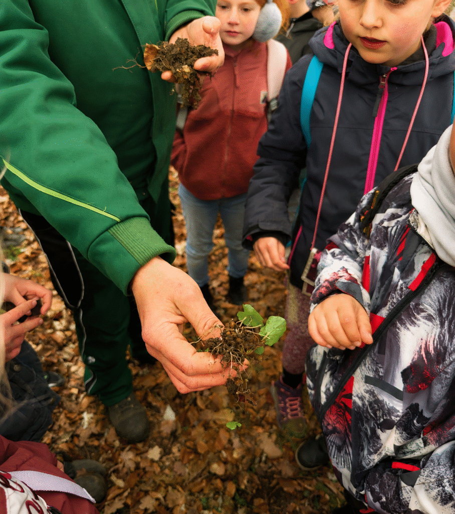 Über Uns 14 gruenes klassenzimmer fruehblueher