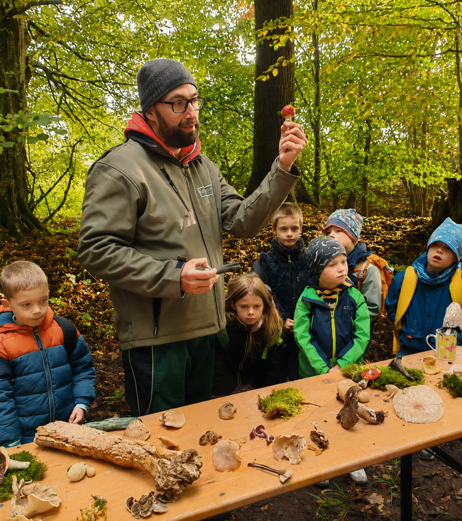 Über Uns 17 Über uns-Grünes Klassenzimmer Pilze