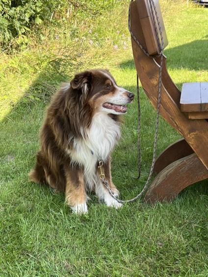 Gourmet-Golf 2025-10