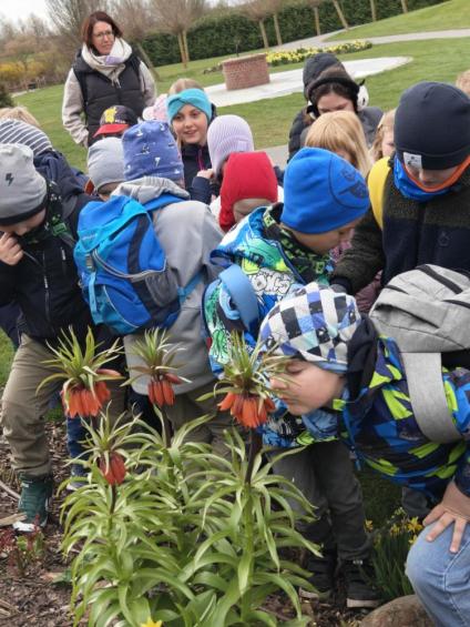 Gruenes-Klassenzimmer Golfpark-Strelasund-10