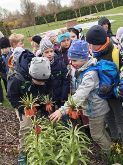 Gruenes-Klassenzimmer Golfpark-Strelasund-11