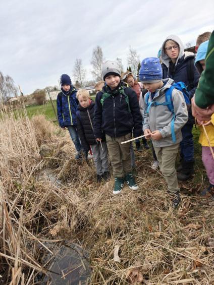 Gruenes-Klassenzimmer Golfpark-Strelasund-13
