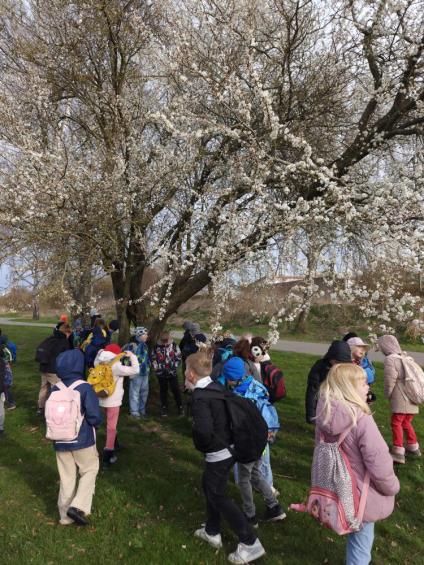 Gruenes-Klassenzimmer Golfpark-Strelasund-15