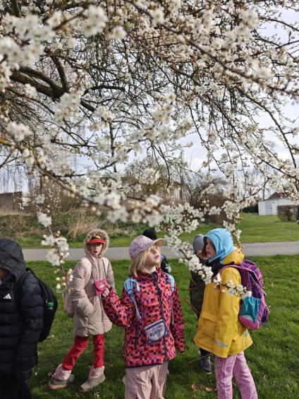 Gruenes-Klassenzimmer Golfpark-Strelasund-16