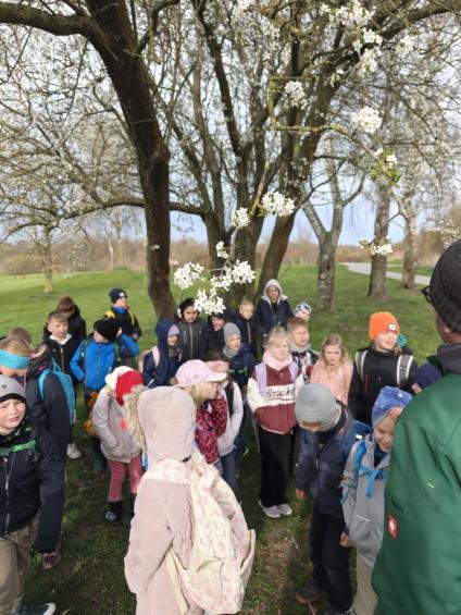 Gruenes-Klassenzimmer Golfpark-Strelasund-18