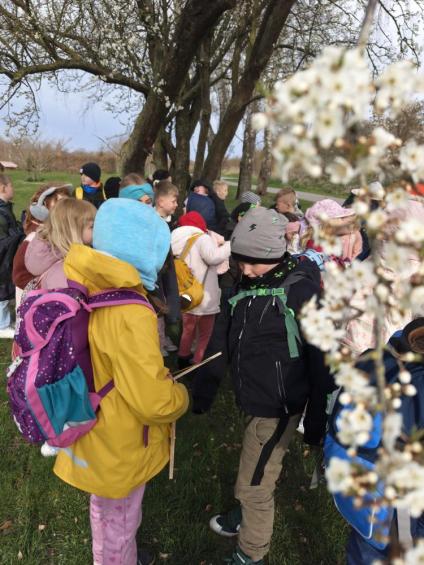 Gruenes-Klassenzimmer Golfpark-Strelasund-19