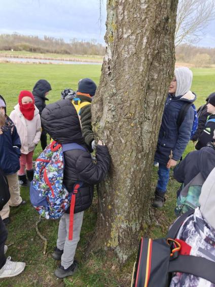 Gruenes-Klassenzimmer Golfpark-Strelasund-20