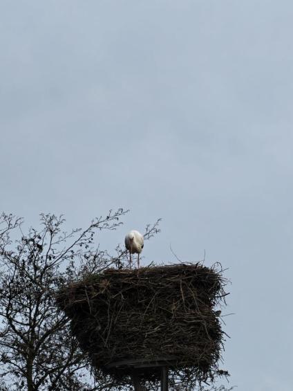 Gruenes-Klassenzimmer Golfpark-Strelasund-23