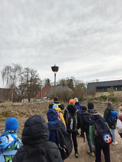 Gruenes-Klassenzimmer Golfpark-Strelasund-24