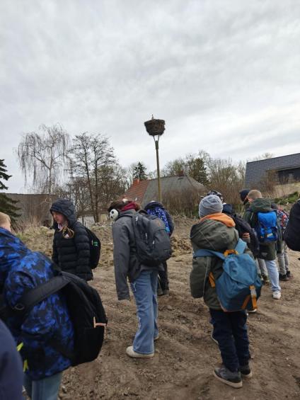 Gruenes-Klassenzimmer Golfpark-Strelasund-26