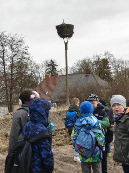 Gruenes-Klassenzimmer Golfpark-Strelasund-27