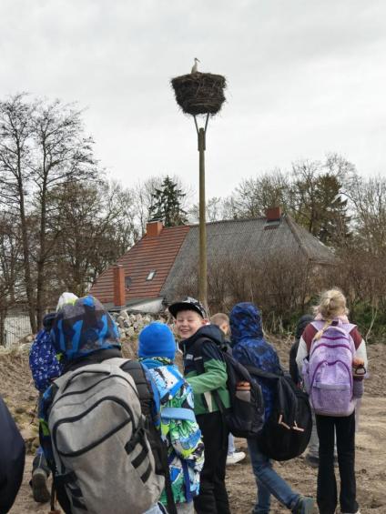 Gruenes-Klassenzimmer Golfpark-Strelasund-28