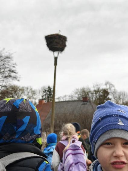 Gruenes-Klassenzimmer Golfpark-Strelasund-29