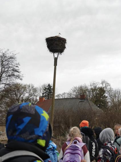 Gruenes-Klassenzimmer Golfpark-Strelasund-30