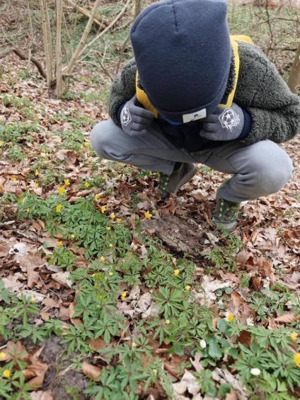 Gruenes-Klassenzimmer Golfpark-Strelasund-36