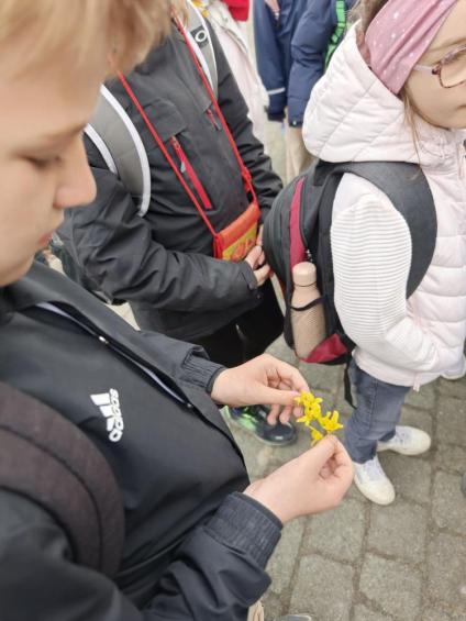 Gruenes-Klassenzimmer Golfpark-Strelasund-4