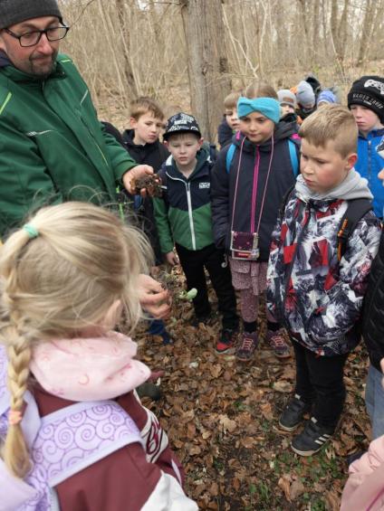 Gruenes-Klassenzimmer Golfpark-Strelasund-41