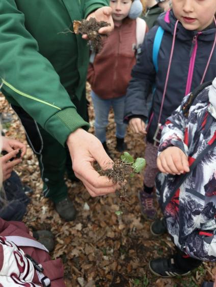 Gruenes-Klassenzimmer Golfpark-Strelasund-42