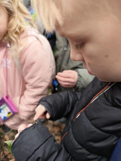 Gruenes-Klassenzimmer Golfpark-Strelasund-43