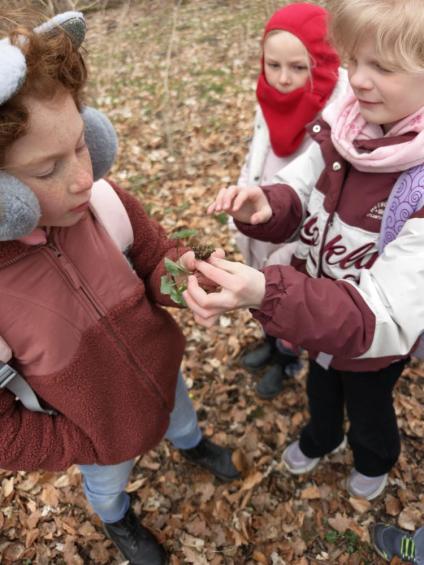 Gruenes-Klassenzimmer Golfpark-Strelasund-48