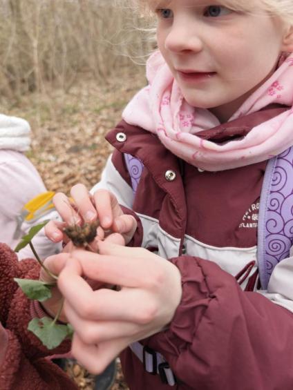 Gruenes-Klassenzimmer Golfpark-Strelasund-49