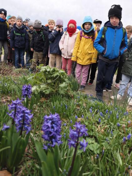 Gruenes-Klassenzimmer Golfpark-Strelasund-5
