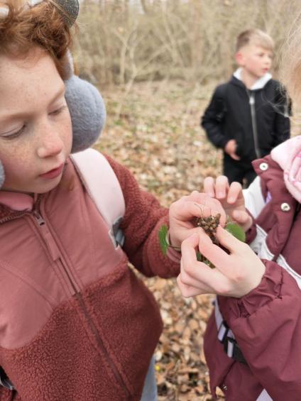 Gruenes-Klassenzimmer Golfpark-Strelasund-50
