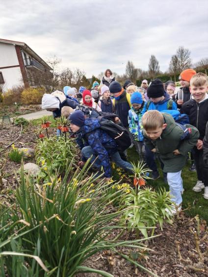 Gruenes-Klassenzimmer Golfpark-Strelasund-7