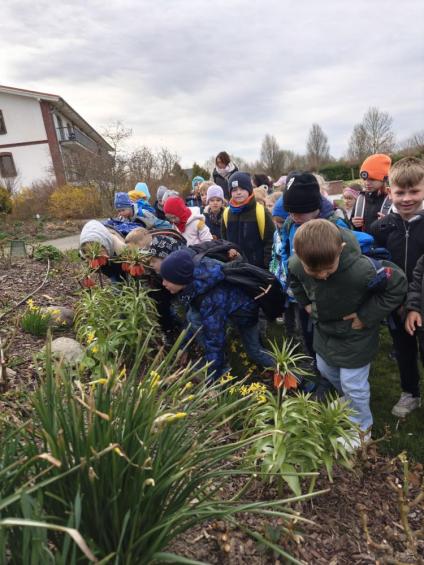 Gruenes-Klassenzimmer Golfpark-Strelasund-8