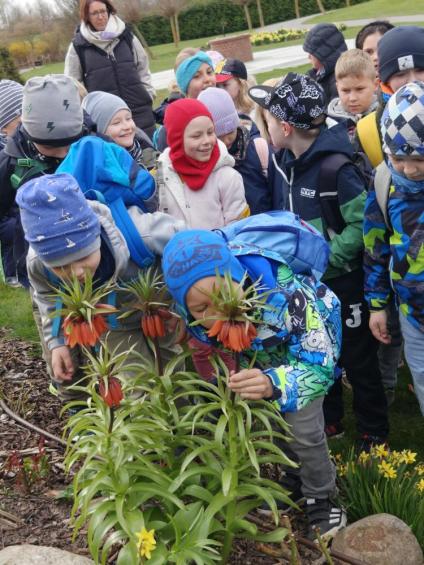 Gruenes-Klassenzimmer Golfpark-Strelasund-9