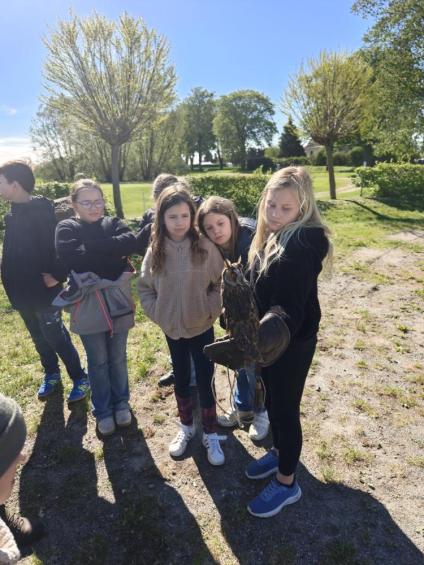 Gruenes-Klassenzimmer-Greifvoegel-87