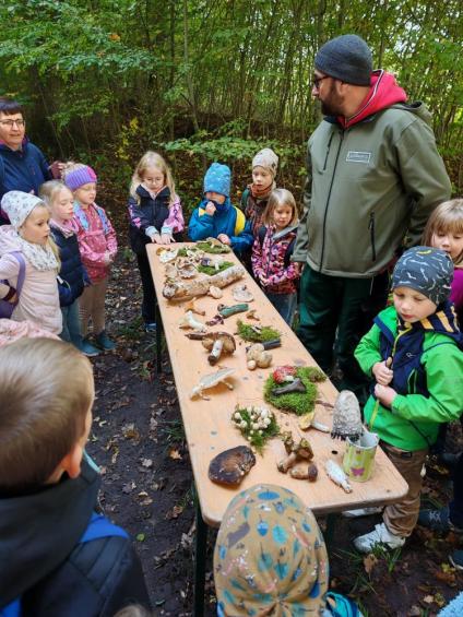 Gruenes-Klassenzimmer Pilze-10
