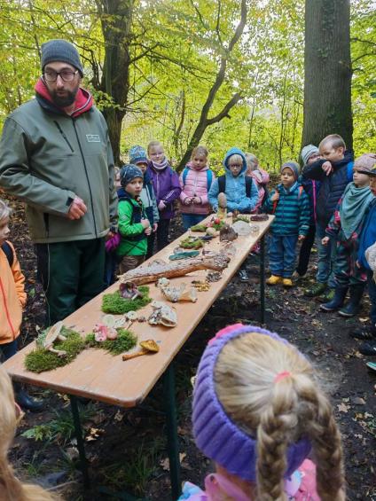 Gruenes-Klassenzimmer Pilze-11