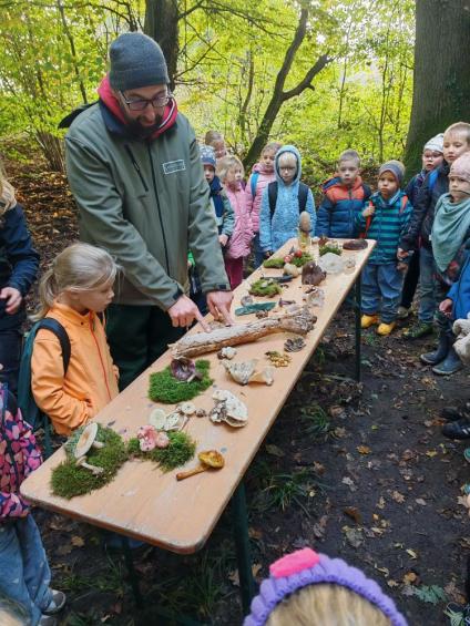 Gruenes-Klassenzimmer Pilze-12