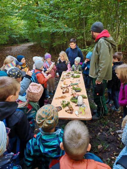 Gruenes-Klassenzimmer Pilze-13