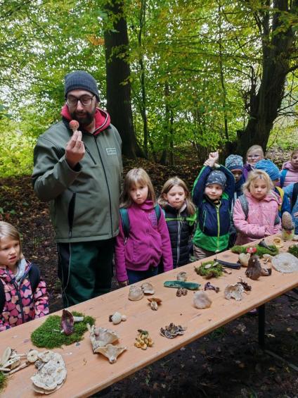 Gruenes-Klassenzimmer Pilze-16