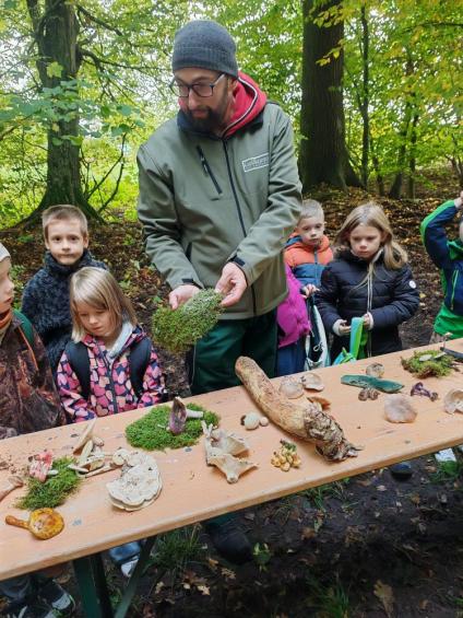 Gruenes-Klassenzimmer Pilze-17