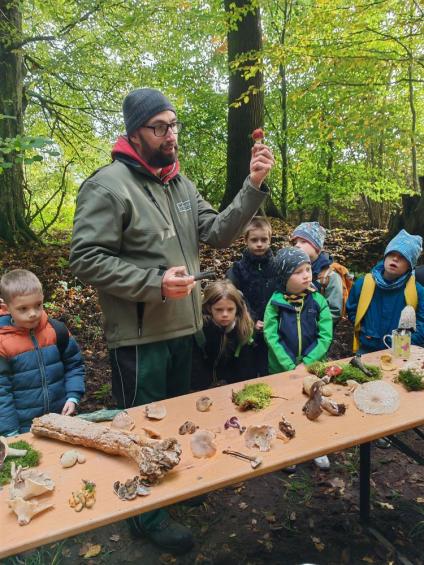 Gruenes-Klassenzimmer Pilze-18