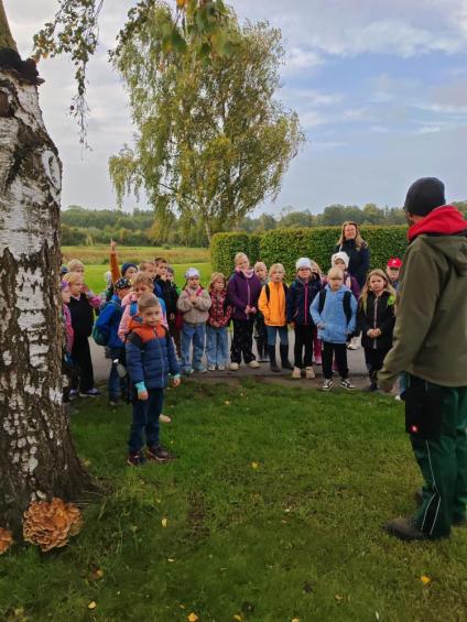 Gruenes-Klassenzimmer Pilze-2