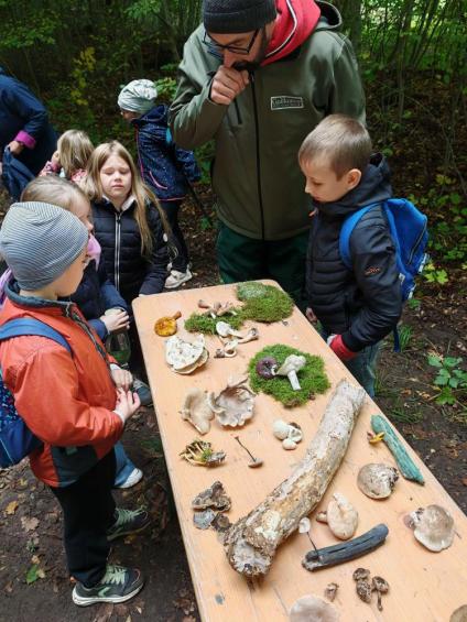 Gruenes-Klassenzimmer Pilze-20