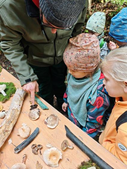 Gruenes-Klassenzimmer Pilze-22