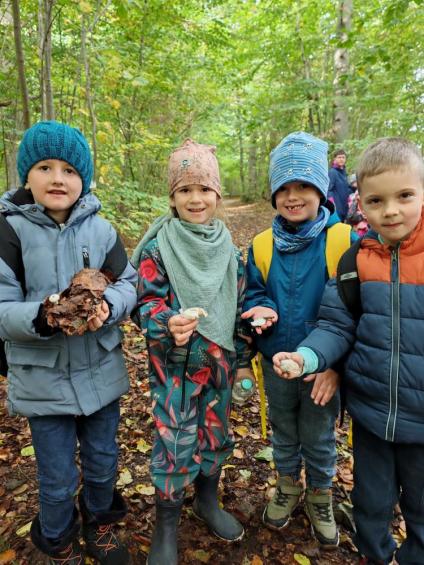 Gruenes-Klassenzimmer Pilze-24