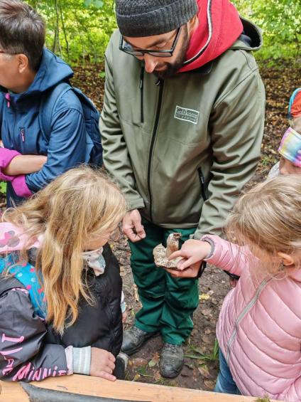 Gruenes-Klassenzimmer Pilze-26