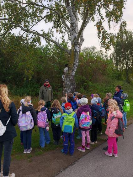 Gruenes-Klassenzimmer Pilze-3