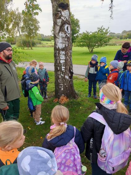 Gruenes-Klassenzimmer Pilze-4