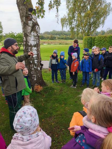 Gruenes-Klassenzimmer Pilze-5