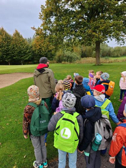 Gruenes-Klassenzimmer Pilze-6