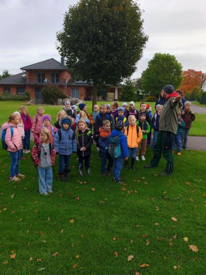 Gruenes-Klassenzimmer Pilze-7